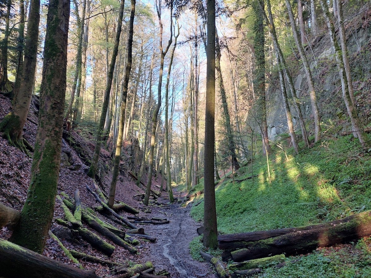 Die mystische Wolfsschlucht ist ein Erlebnis für die Kinder