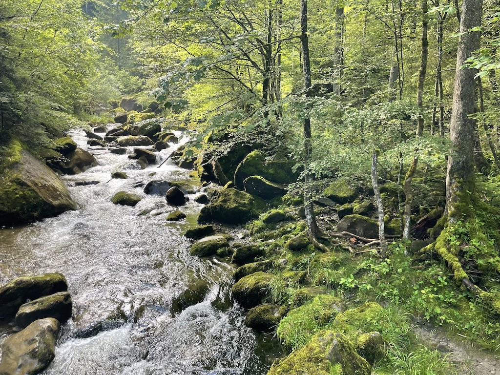 Idyllischer Rümlig